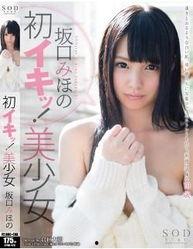 岛国风在线视频,沉浸式体验异域风情