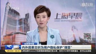 在线视频援交网站导航,暗流涌动的网络世界