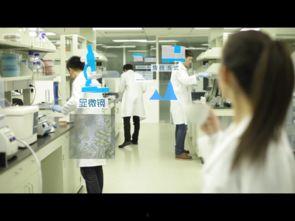 医疗bdsm在线视频,揭秘激情与健康的交融边界