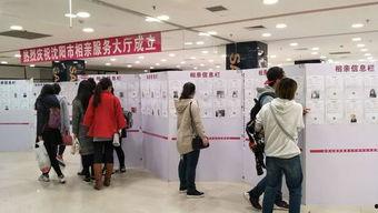 高端人士相亲在线视频,线上视频开启浪漫邂逅之旅