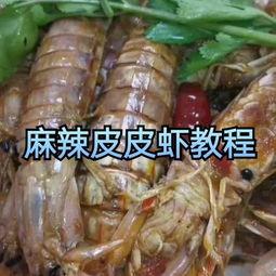 皮皮虾 在线视频,轻松畅享欢乐时光