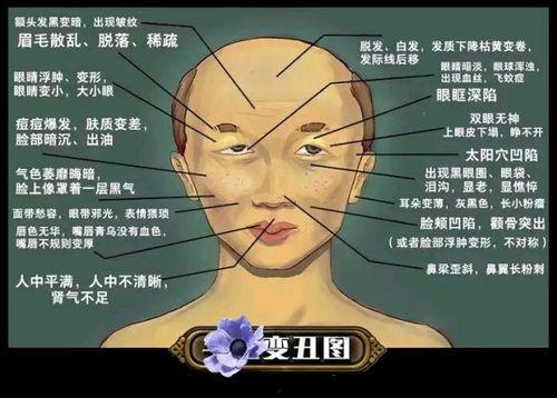 Nhdtb在线视频,揭秘网络红人的魅力瞬间