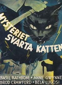 黑猫在线视频电影下载,畅享海量电影，一键下载，尽在掌握